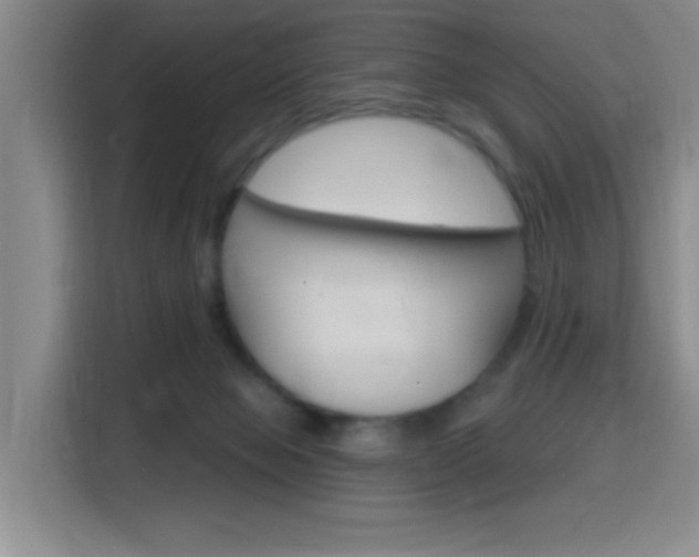 X0000116150077200911231000