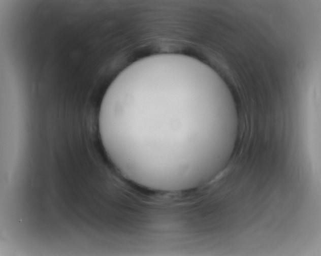 X0000116150078200911231000