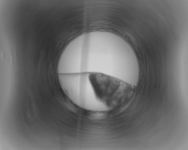 X0000116150081200911231000