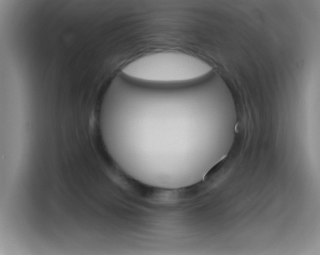 X0000116150084200911231000