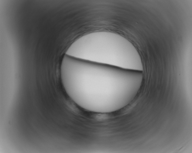 X0000116150085200911231000