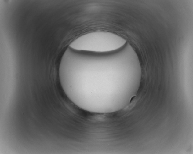 X0000116150086200911231000