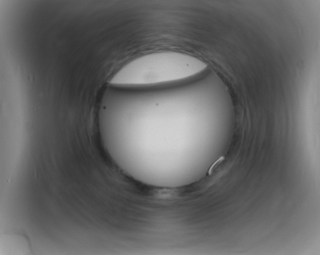 X0000116150088200911231000