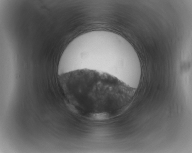 X0000116150089200911231000