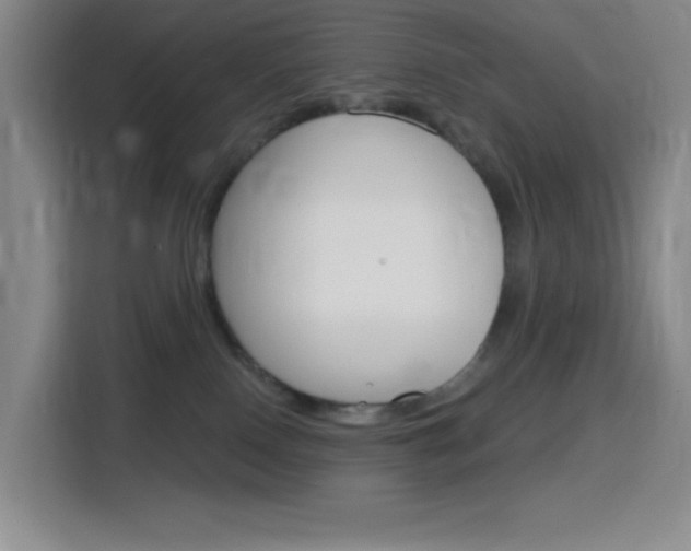 X0000116150090200911231000