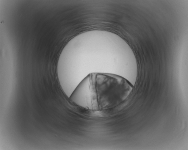 X0000116150091200911231000