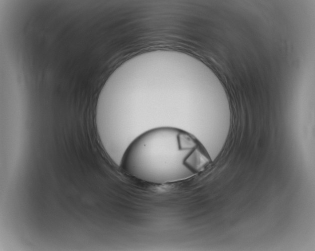 X0000116150092200911231000