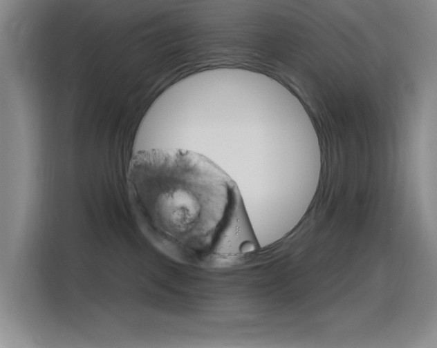 X0000116150093200911231000