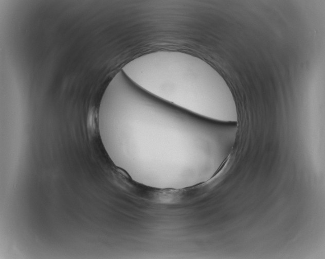 X0000116150094200911231000