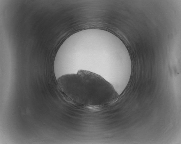 X0000116150095200911231000