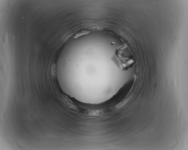 X0000116150096200911231000