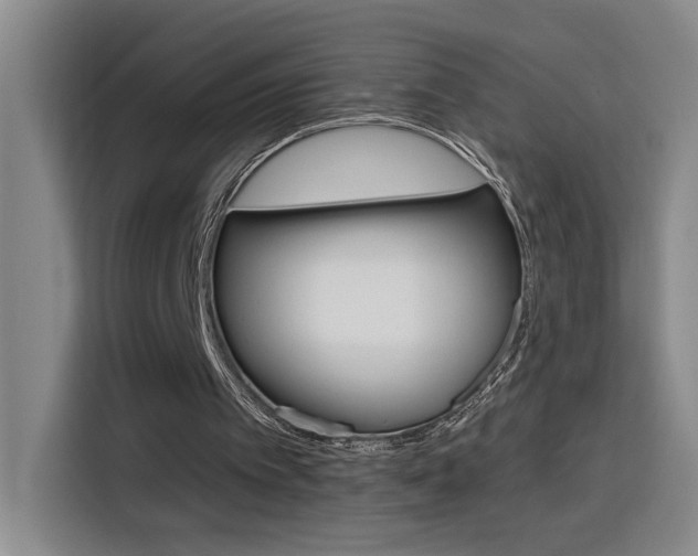 X0000116150097200911230959