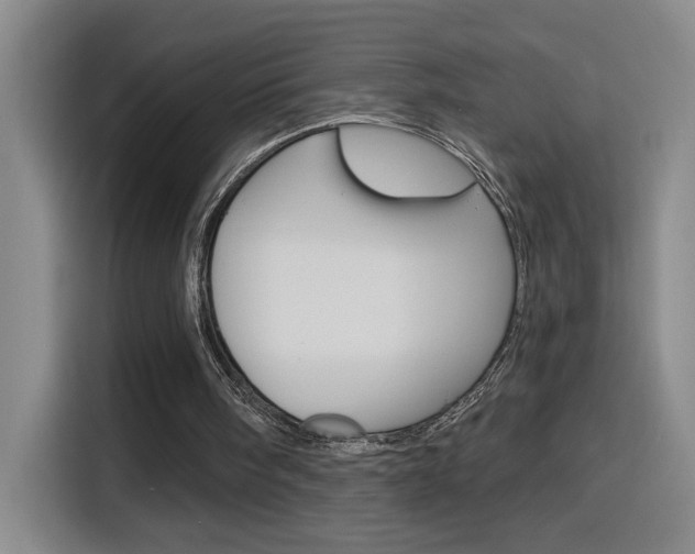 X0000116150098200911230959