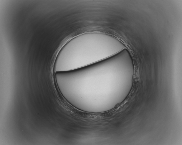 X0000116150099200911230959