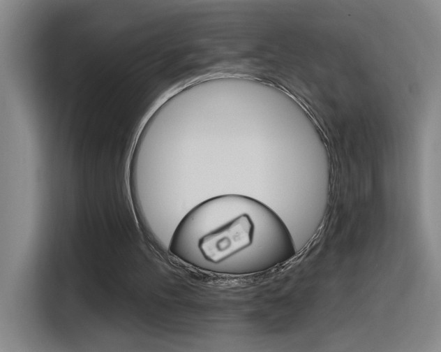 X0000116150100200911230959