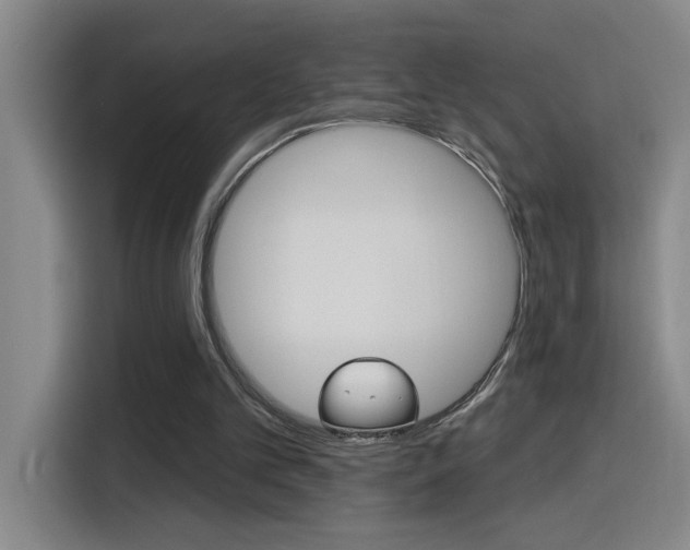 X0000116150101200911230959