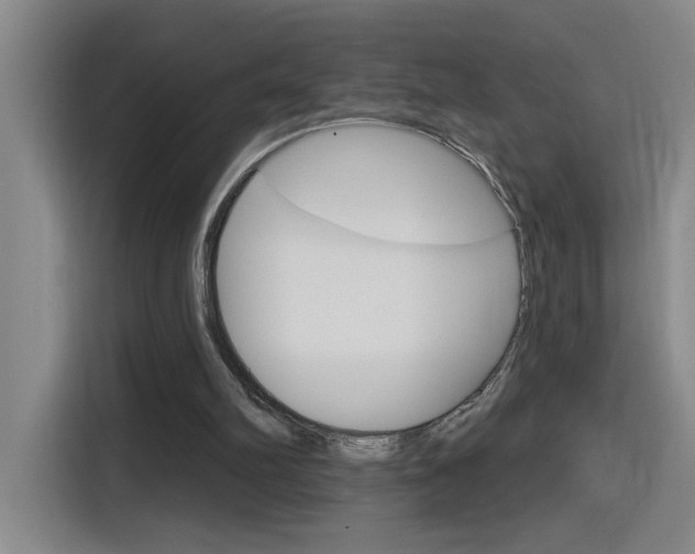 X0000116150102200911230959