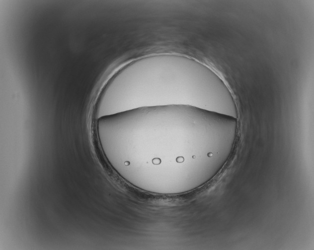 X0000116150103200911230959