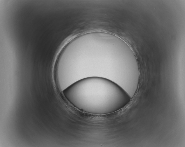 X0000116150104200911230959