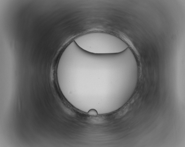 X0000116150106200911230959