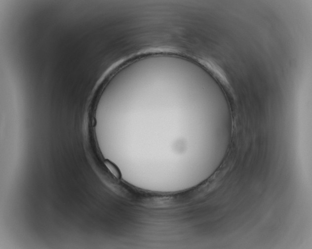 X0000116150108200911230959