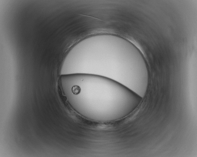 X0000116150109200911230959