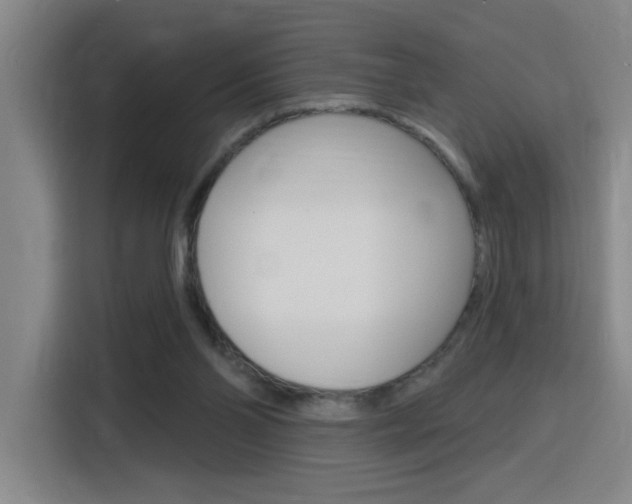 X0000116150110200911230959