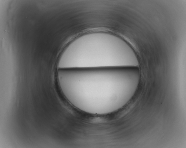 X0000116150111200911230959