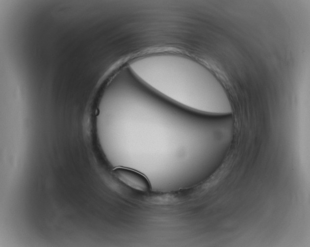 X0000116150112200911230959