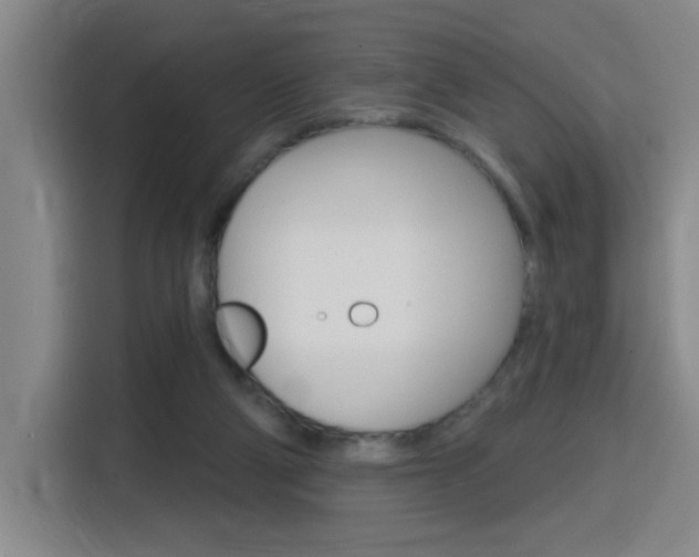 X0000116150114200911230959