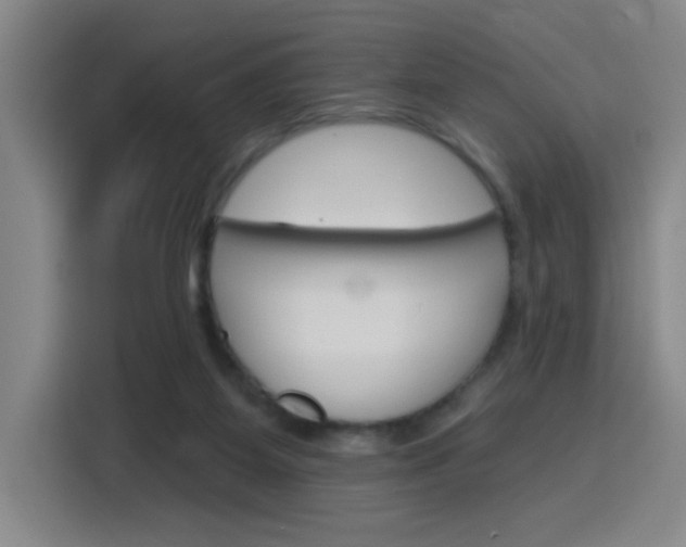 X0000116150115200911230959