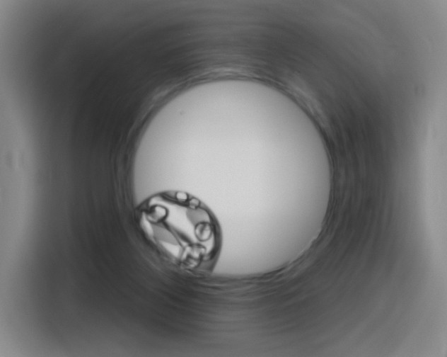 X0000116150116200911230959