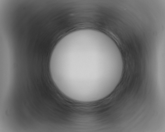 X0000116150117200911230959