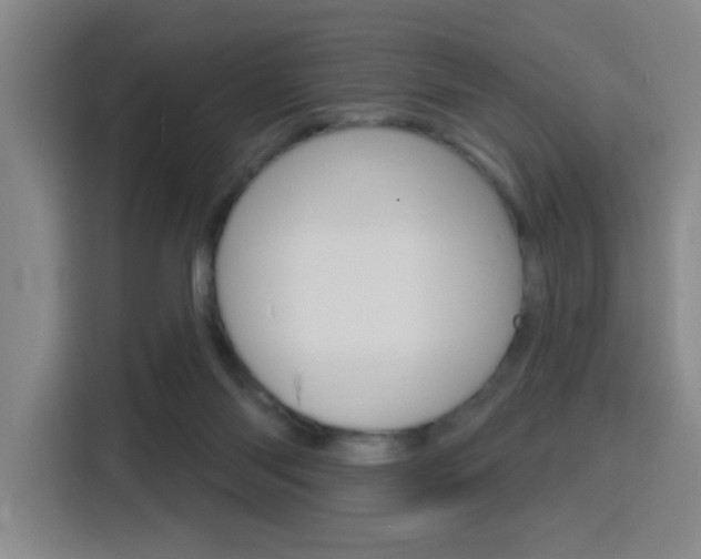 X0000116150118200911230959