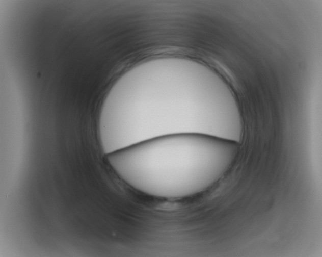 X0000116150119200911230959