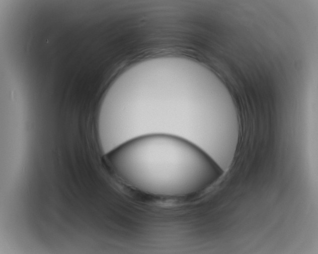 X0000116150120200911230959