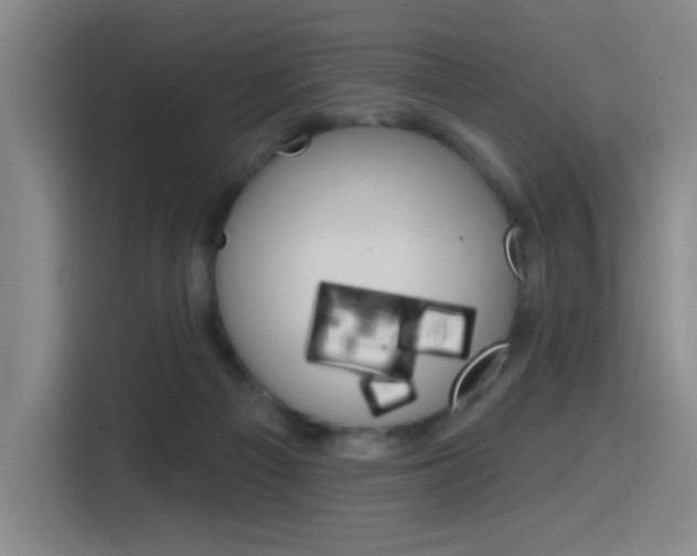 X0000116150121200911230959