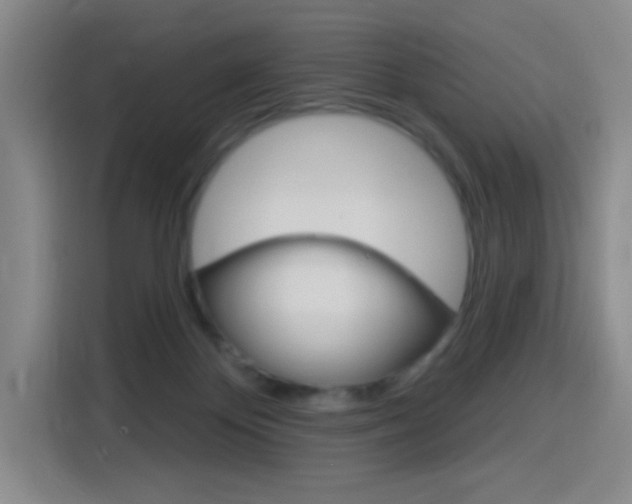 X0000116150124200911230959