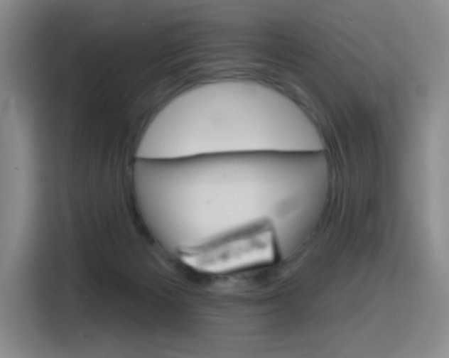 X0000116150125200911230959