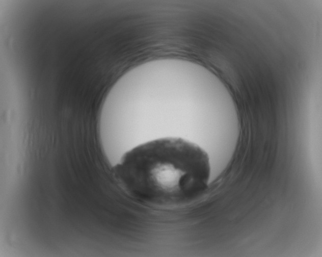 X0000116150127200911230959