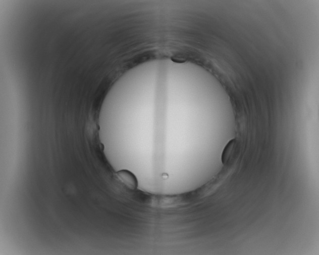 X0000116150129200911230959