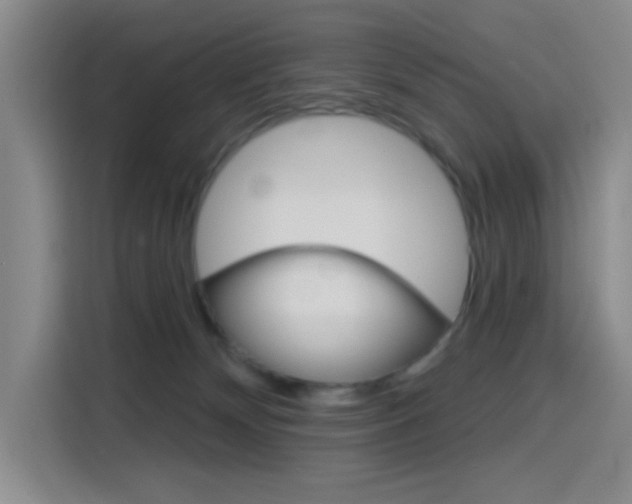 X0000116150132200911230959