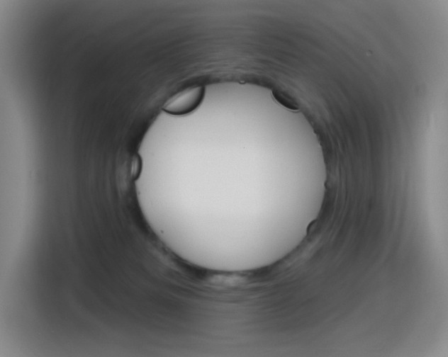 X0000116150133200911230959