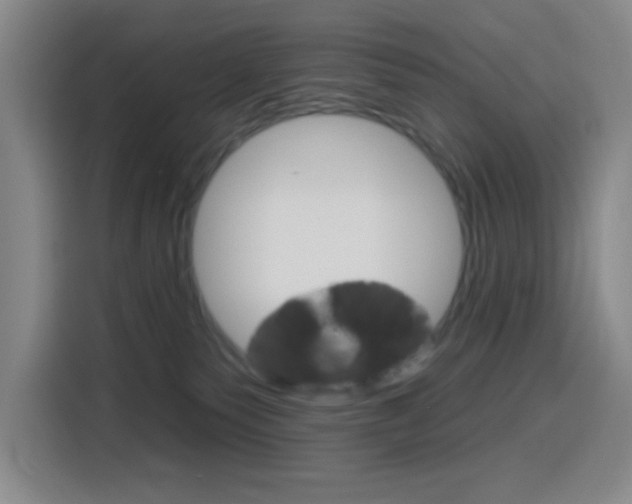 X0000116150135200911230959