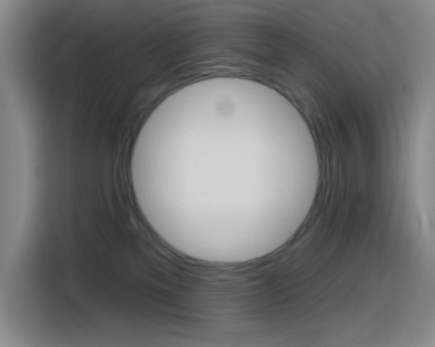 X0000116150137200911230959