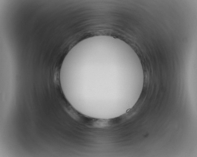 X0000116150138200911230959