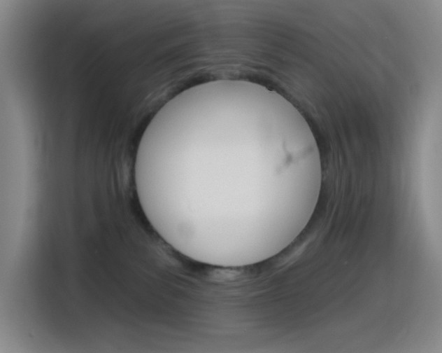 X0000116150139200911230959