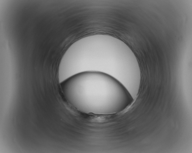 X0000116150140200911230959