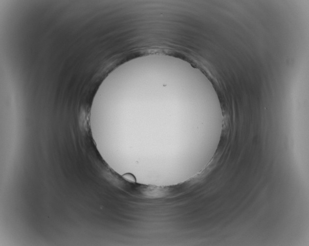 X0000116150142200911230959