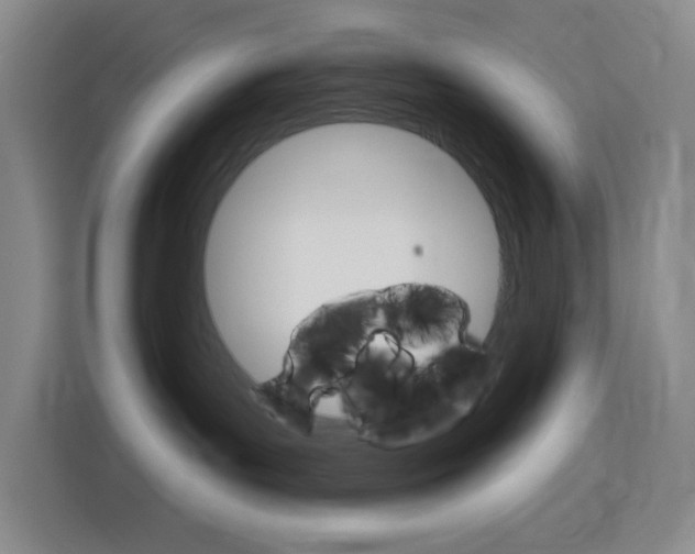 X0000116150143200911230959